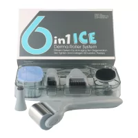 6 in 1 Ice Derma Roller