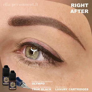 Skin Monarch Avant- Garde Line True Black Pigment For Eyeliner (5ml)