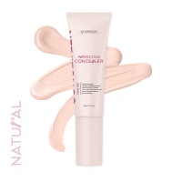 AS COMPANY Perfection Concealer Natural (20ml)